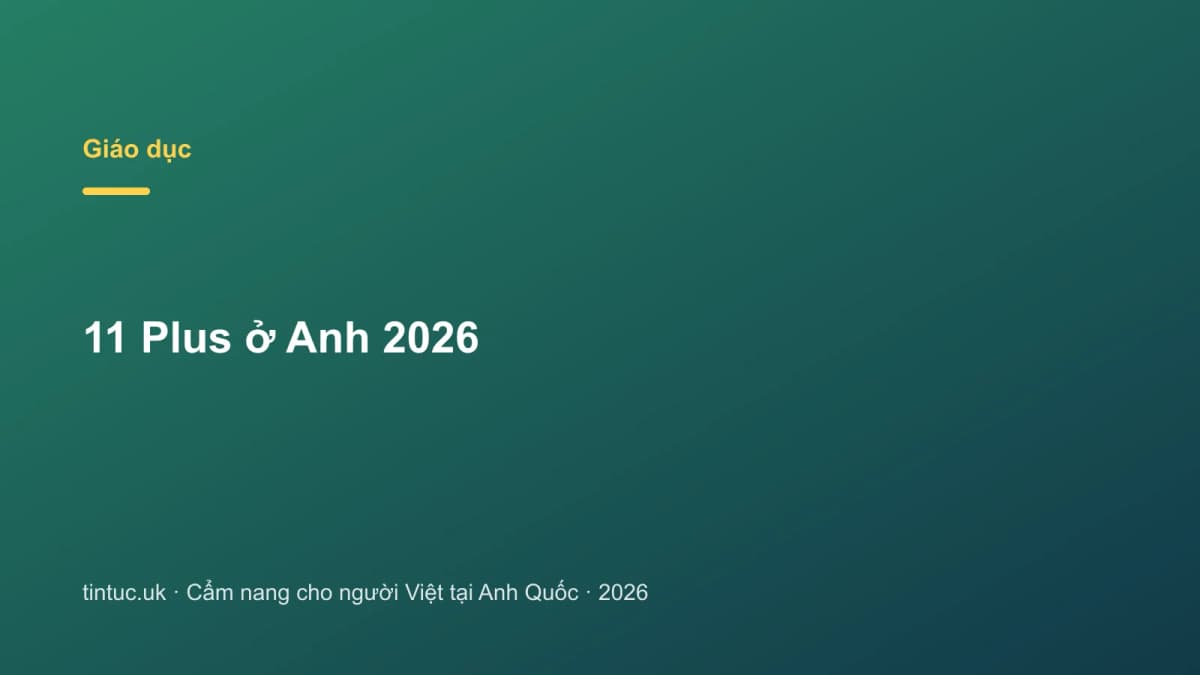11 Plus ở Anh 2026