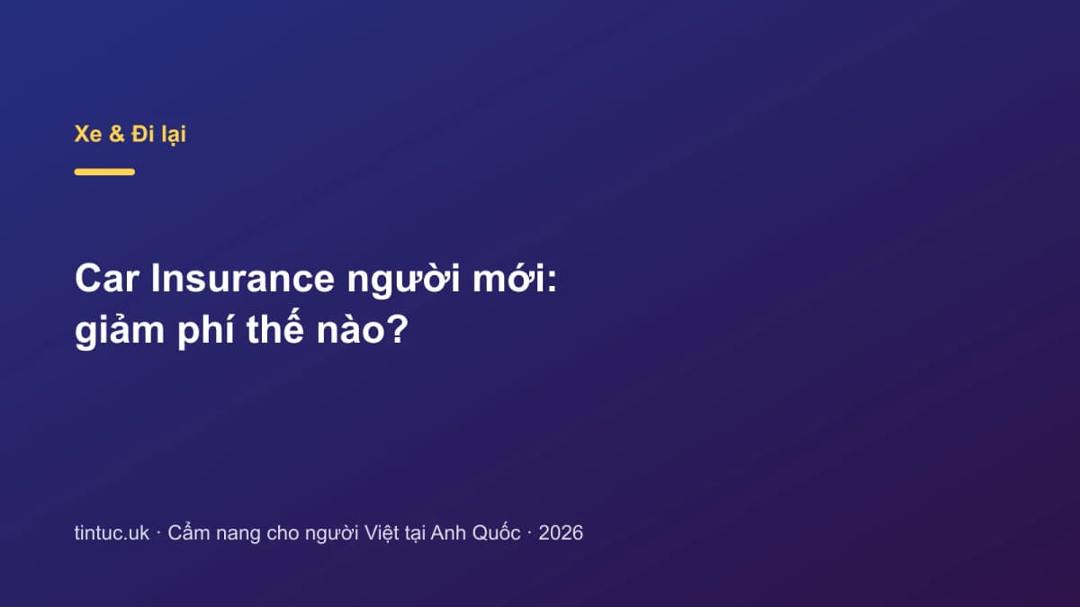 Car Insurance người mới: Giảm phí thế nào?