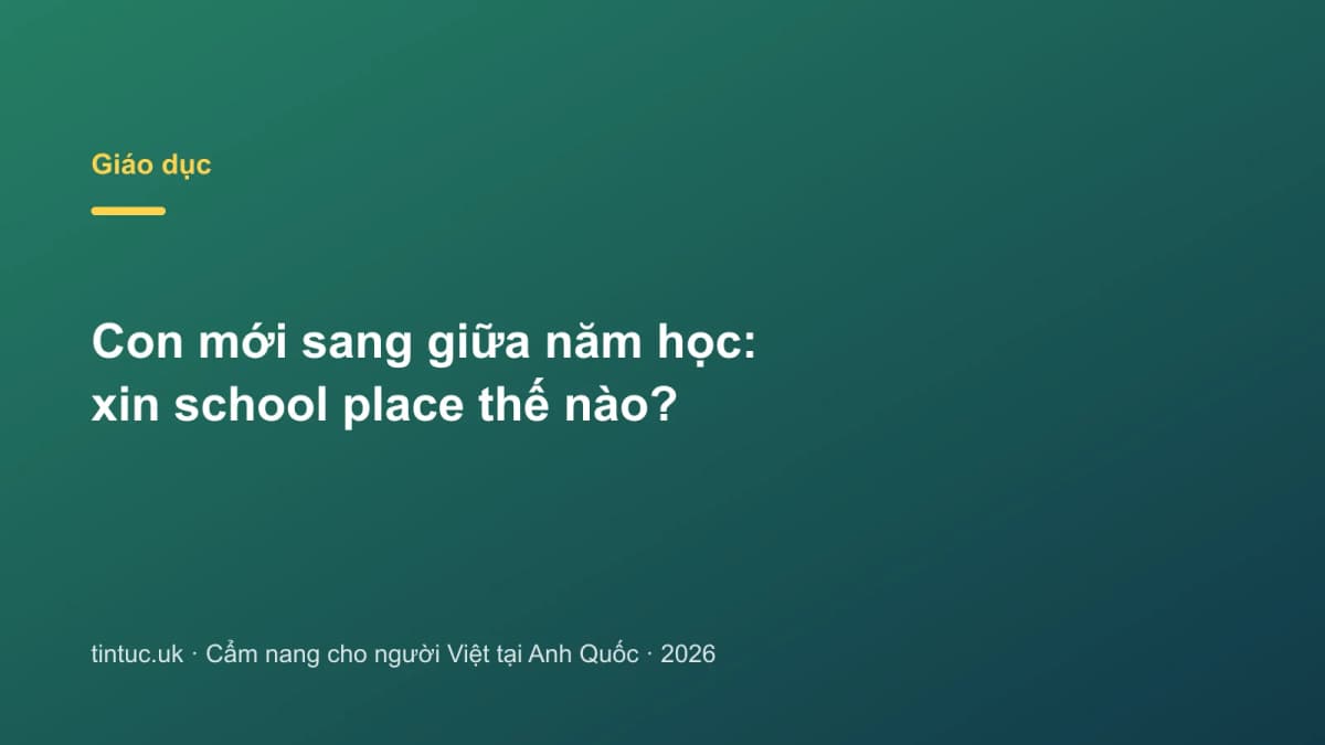 Con mới sang giữa năm học: Xin school place thế nào?