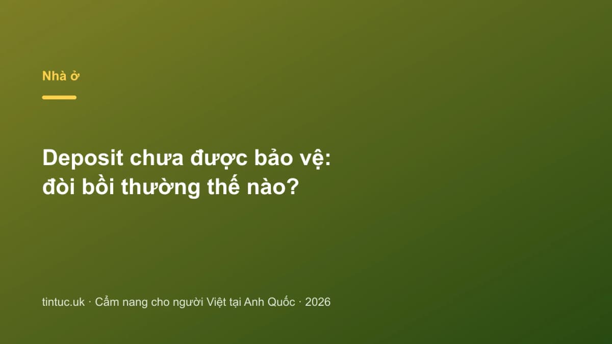 Deposit chưa được bảo vệ: Đòi bồi thường thế nào?