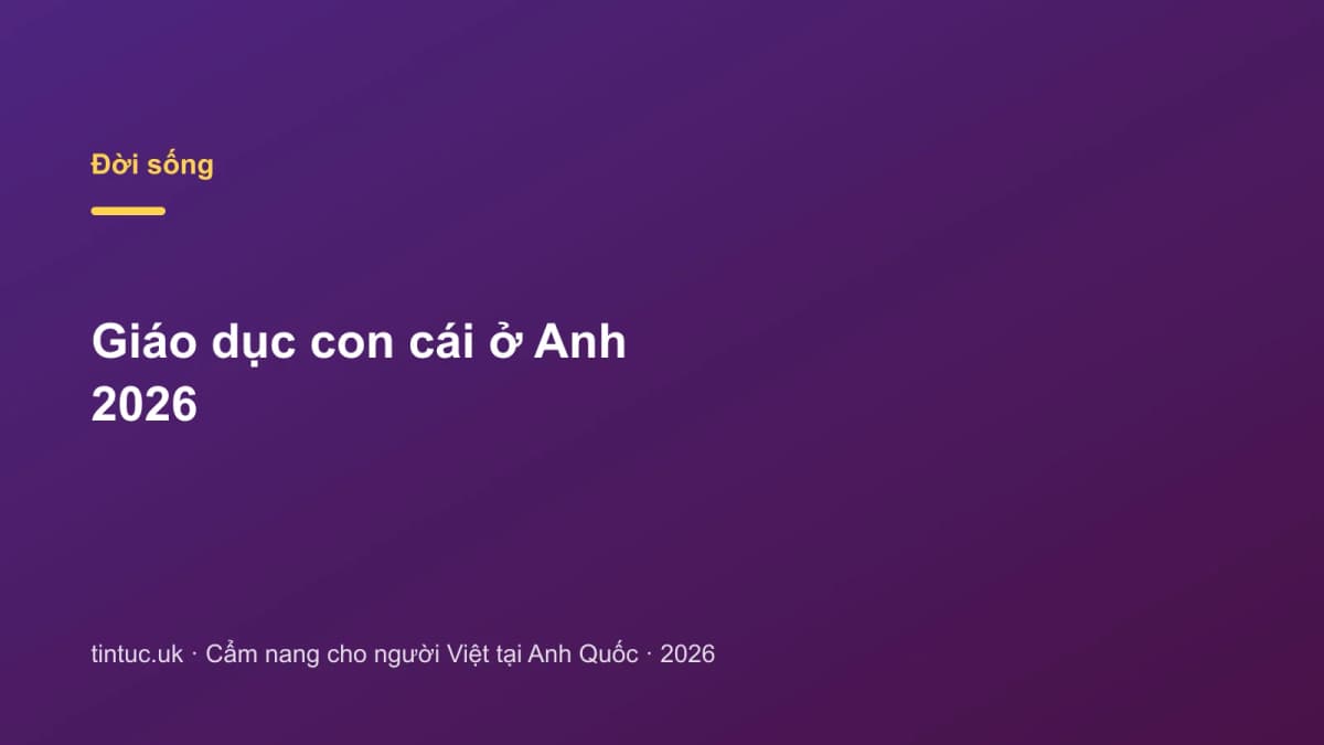Giáo dục con cái ở Anh 2026