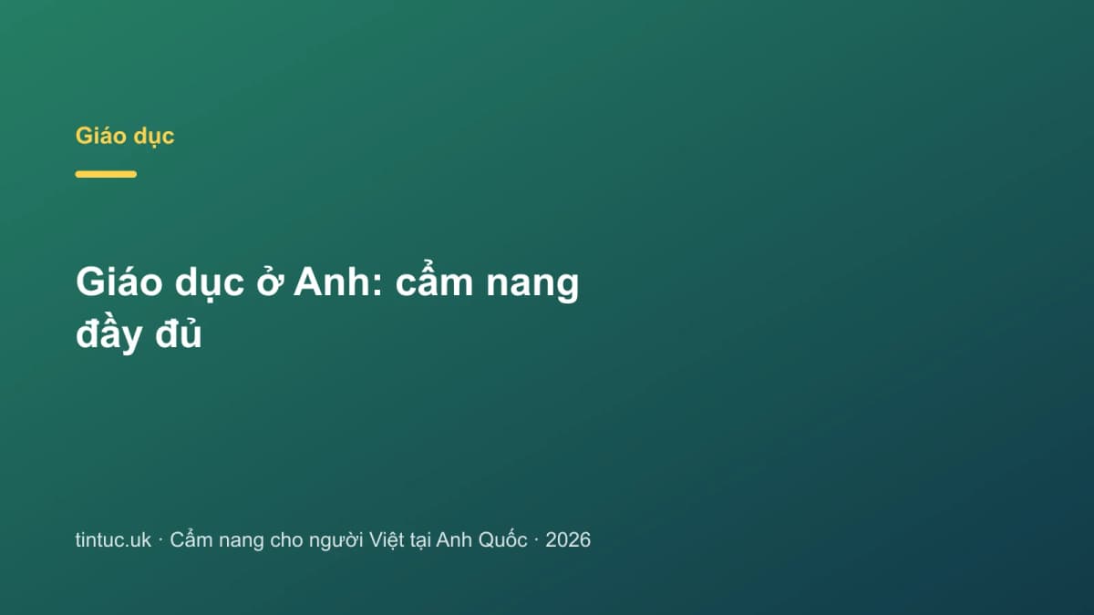 Giáo dục ở Anh: Cẩm nang đầy đủ