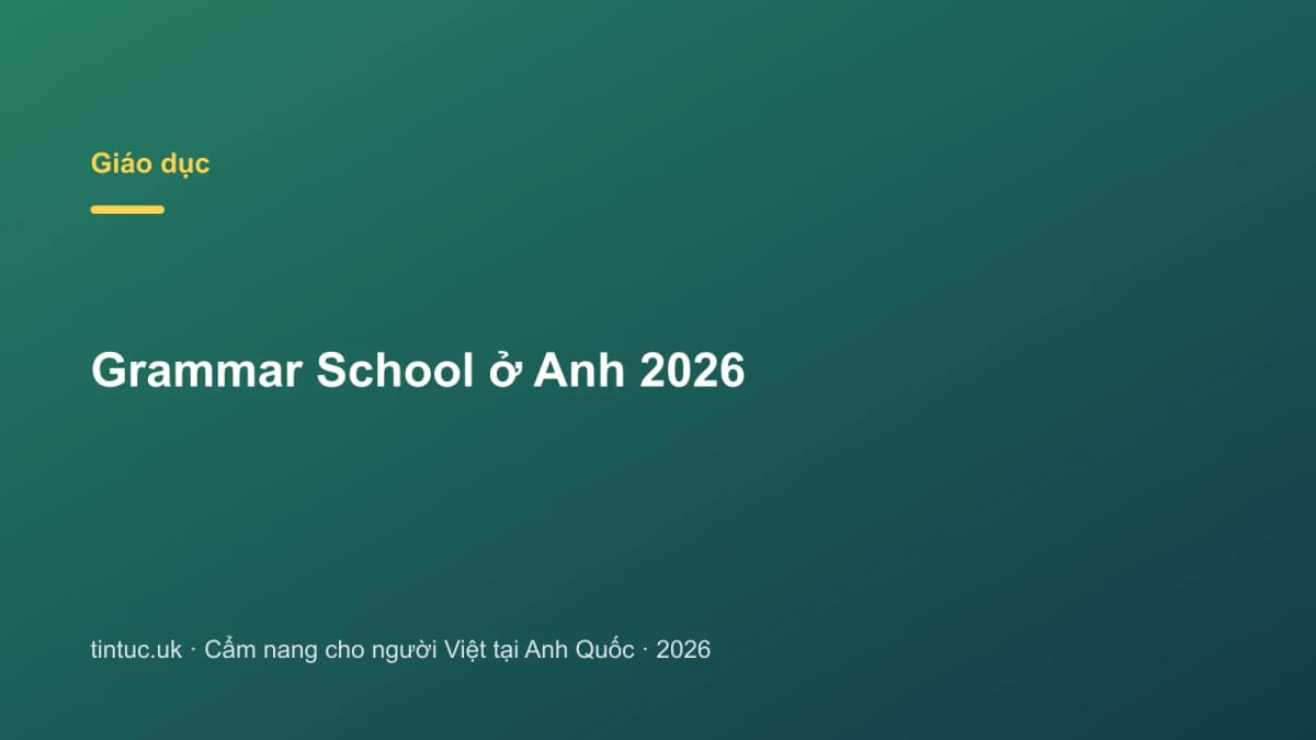 Grammar School ở Anh 2026
