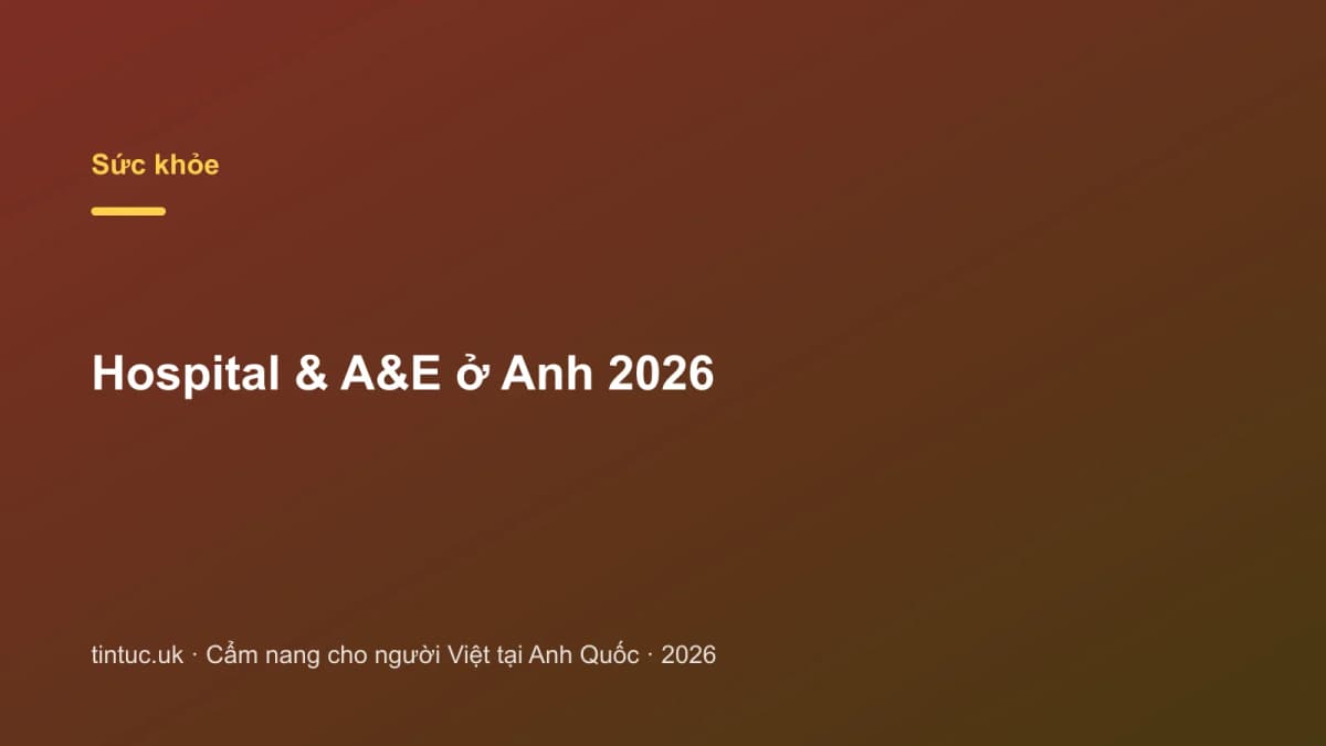 Hospital & A&E ở Anh 2026