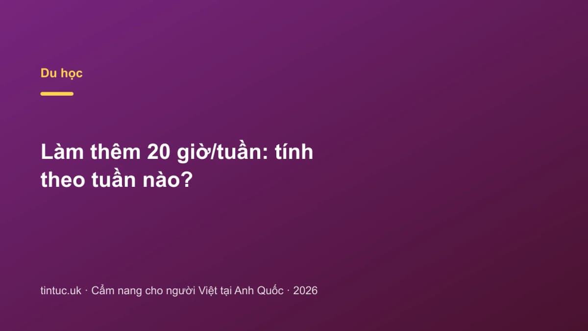 Làm thêm 20 giờ/tuần: Tính theo tuần nào?