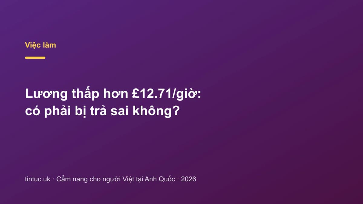 Lương thấp hơn £12.71/giờ: Có phải bị trả sai không?