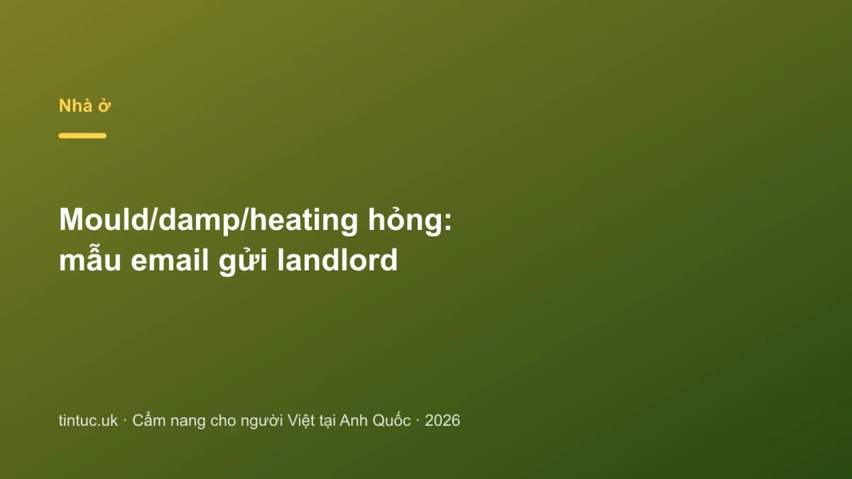 Mould/damp/heating hỏng: Mẫu email gửi landlord