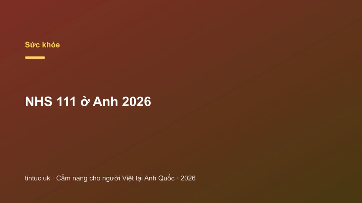 NHS 111 ở Anh 2026