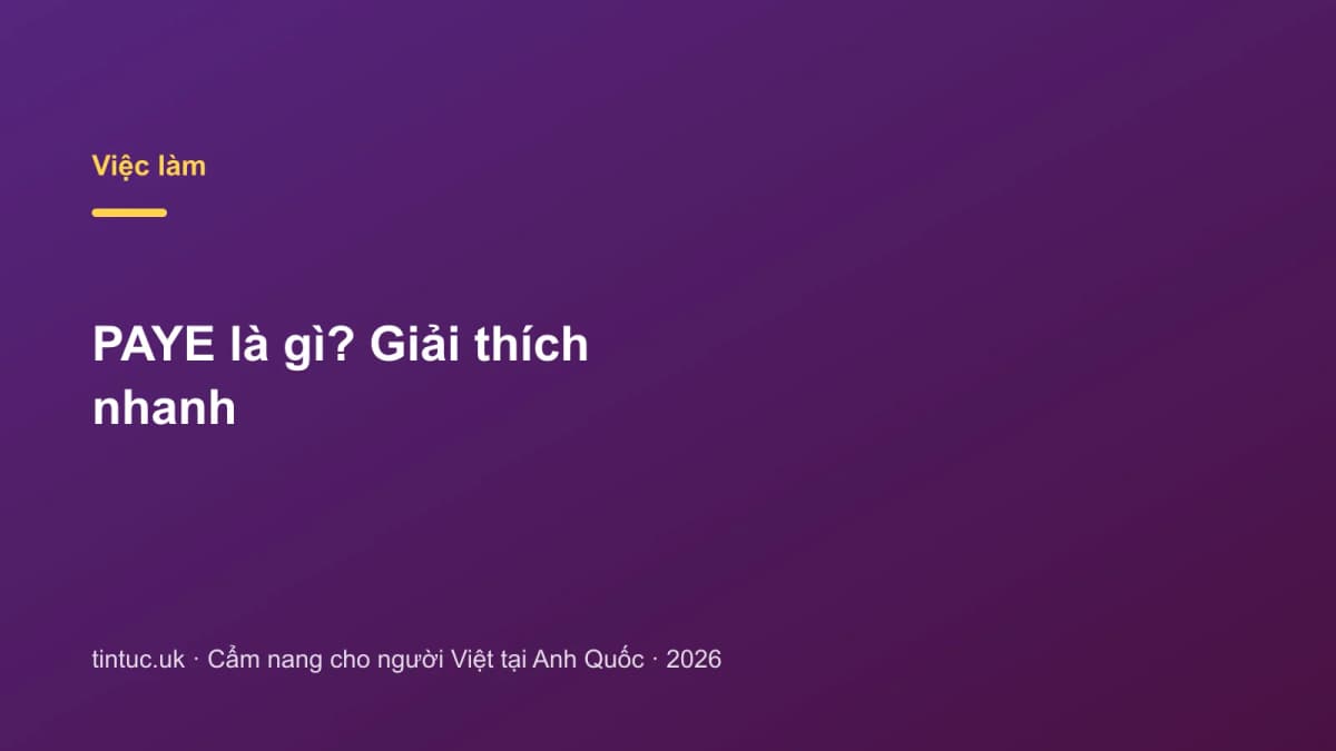 PAYE là gì? Giải thích nhanh