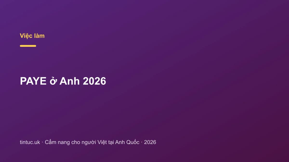 PAYE ở Anh 2026