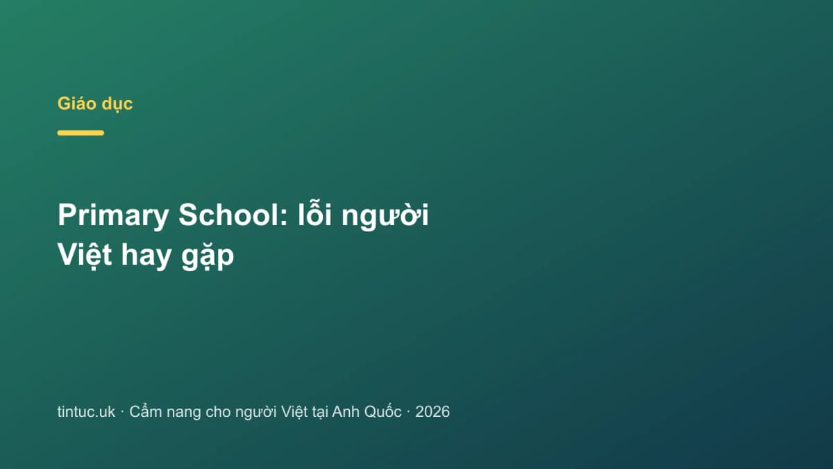 Primary School: Lỗi người Việt hay gặp