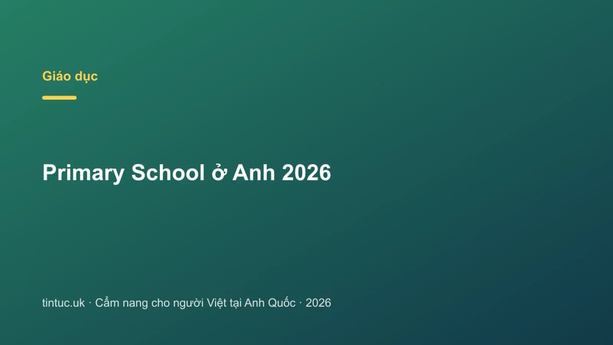 Primary School ở Anh 2026