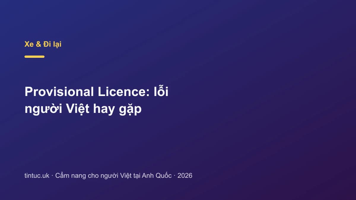 Provisional Licence: Lỗi người Việt hay gặp