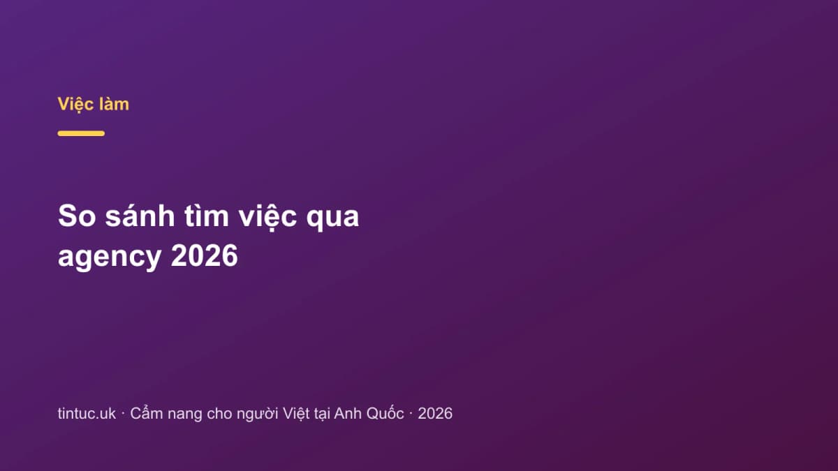 So sánh tìm việc qua agency 2026