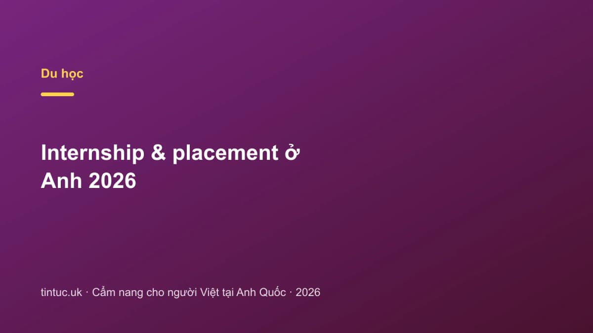 Internship & placement ở Anh 2026