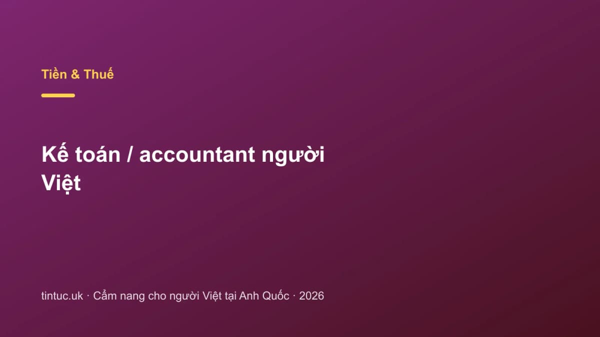 Kế toán / accountant người Việt