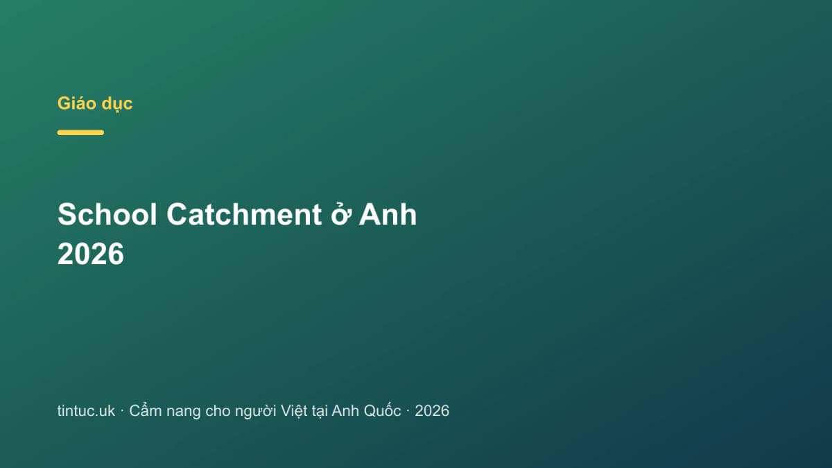 School Catchment ở Anh 2026