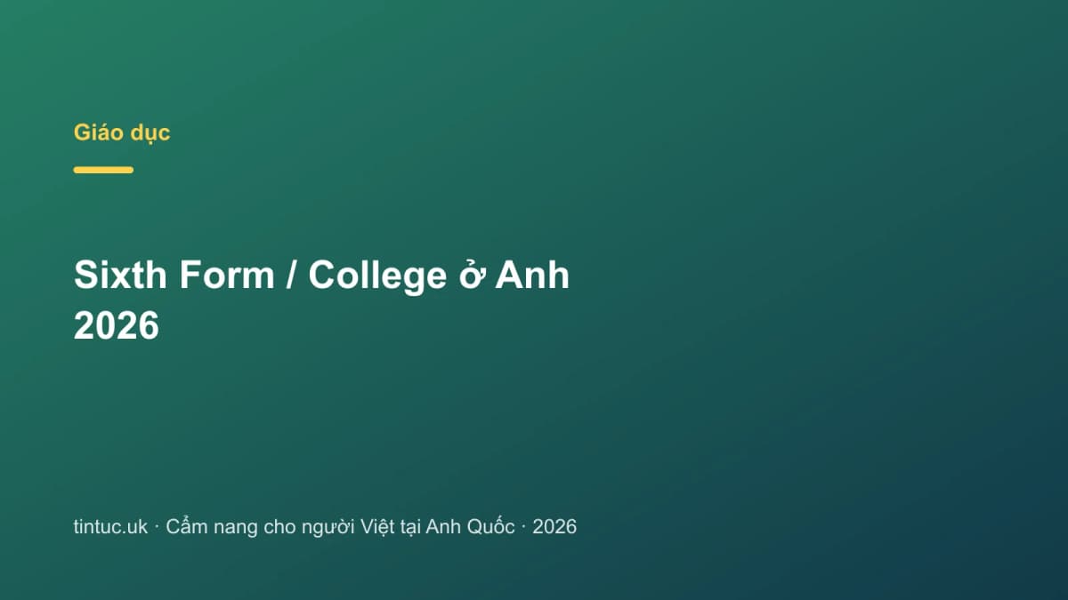 Sixth Form / College ở Anh 2026