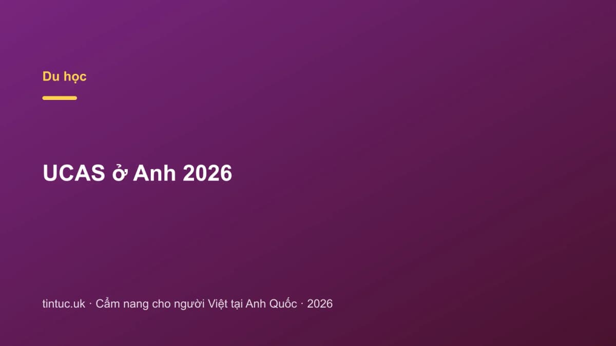 UCAS ở Anh 2026